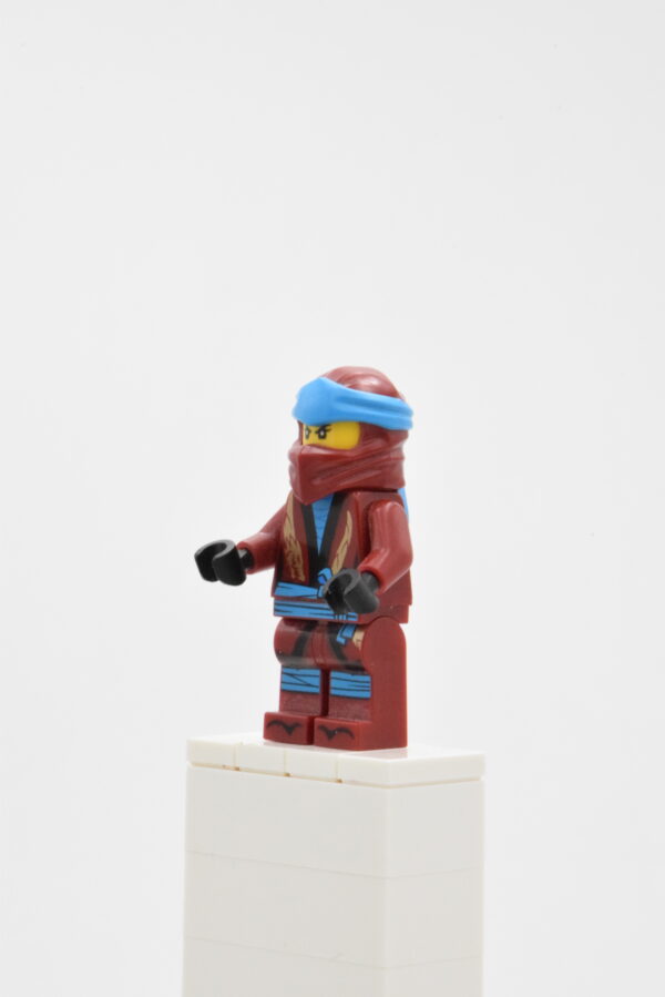 njo491 LEGO Ninjago - Nya