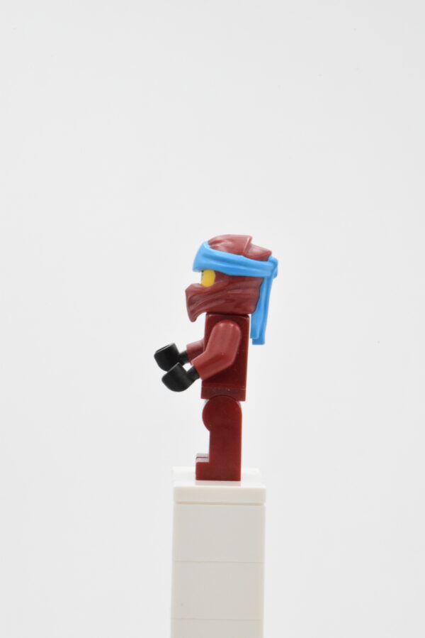 njo491 LEGO Ninjago - Nya