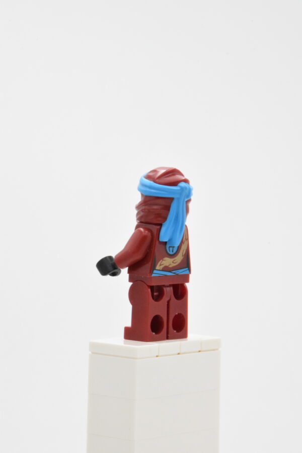 njo491 LEGO Ninjago - Nya