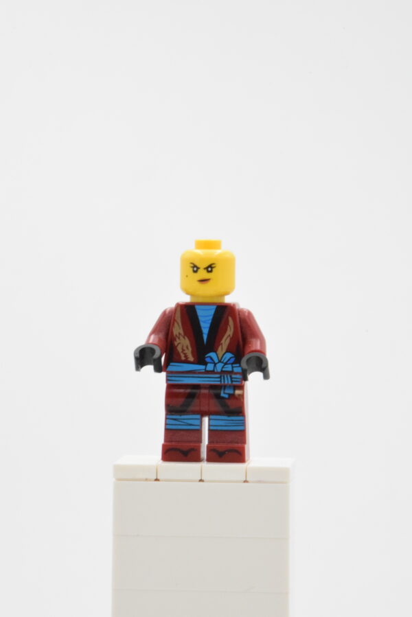 njo491 LEGO Ninjago - Nya