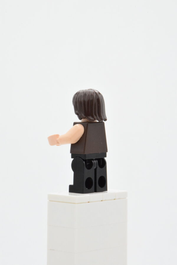 pop017 LEGO Prince of Persia - Dastan