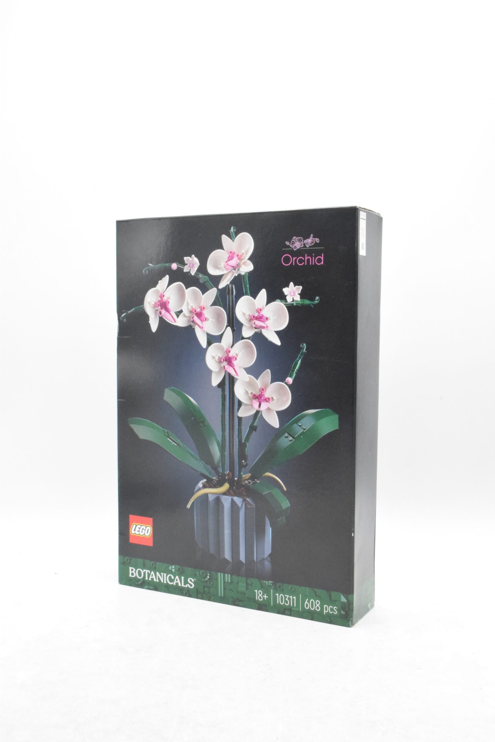 10311 - Orchidée
