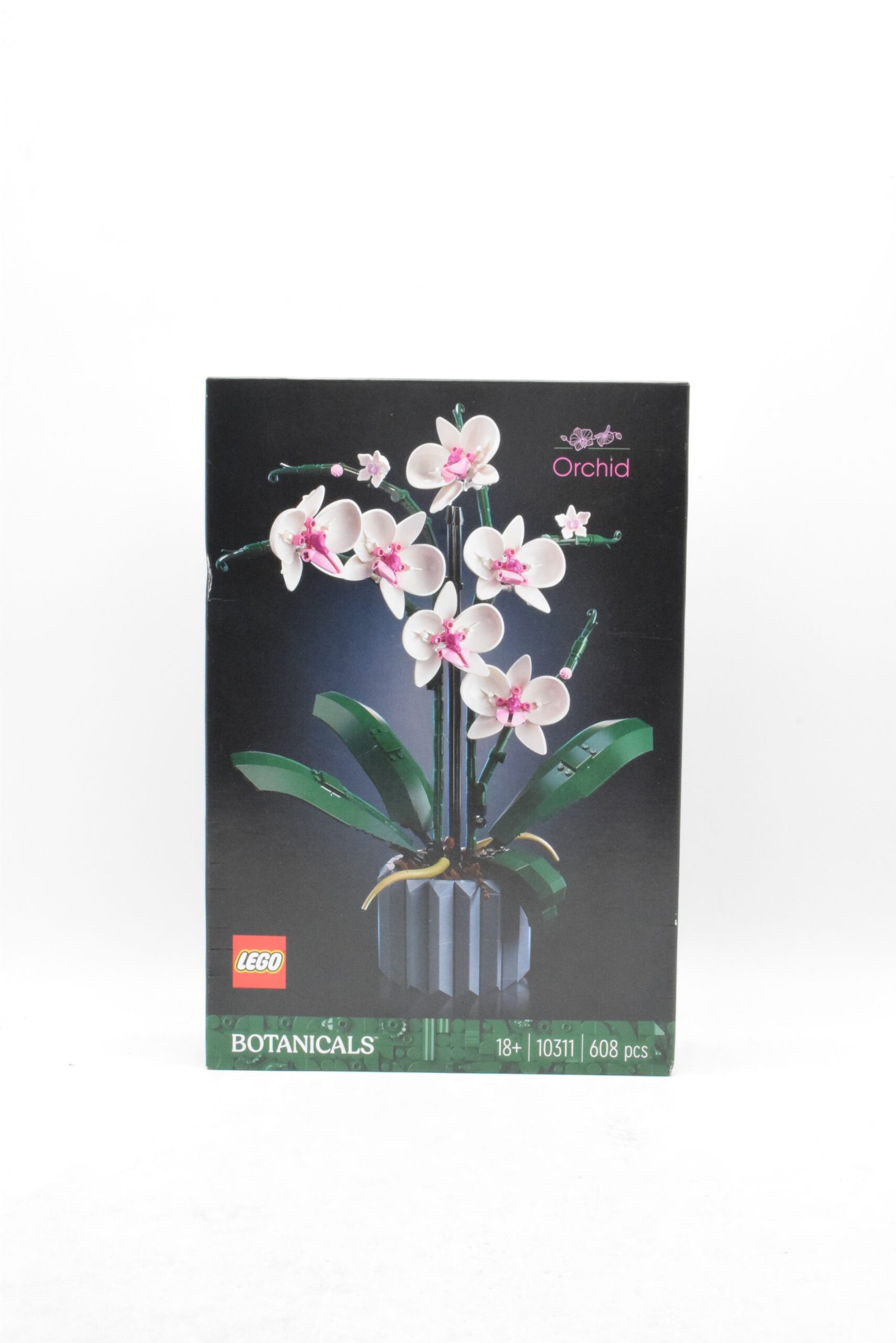 10311 - Orchidée – Image 4