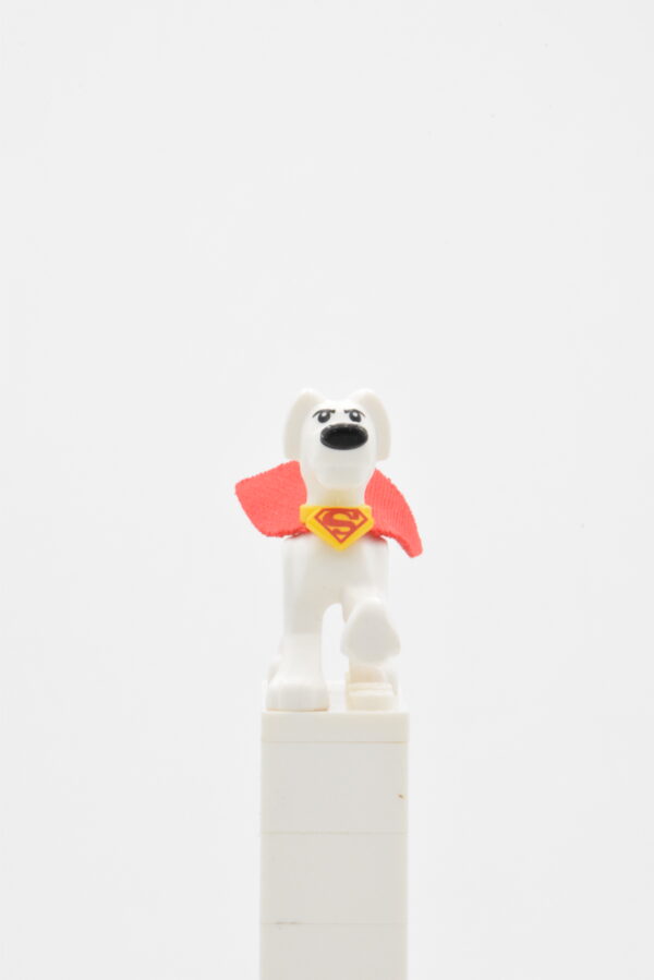 30533c01 LEGO DC - Krypto the Superdog
