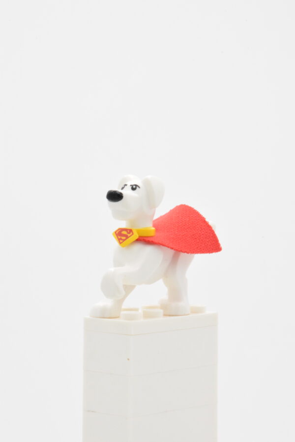 30533c01 LEGO DC - Krypto the Superdog