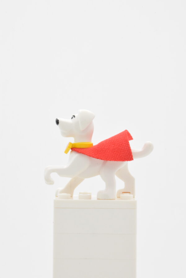 30533c01 LEGO DC - Krypto the Superdog