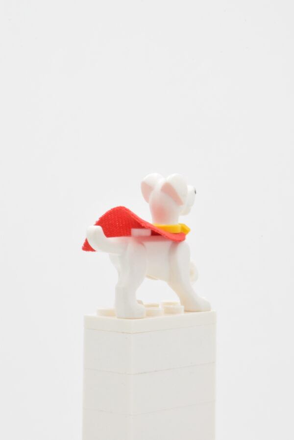 30533c01 LEGO DC - Krypto the Superdog