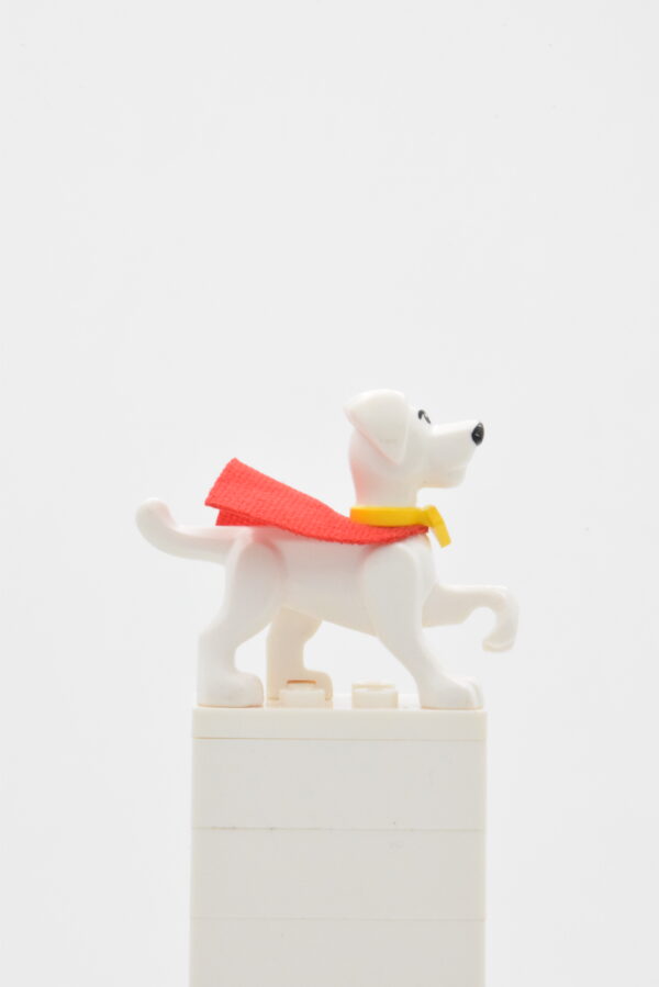 30533c01 LEGO DC - Krypto the Superdog