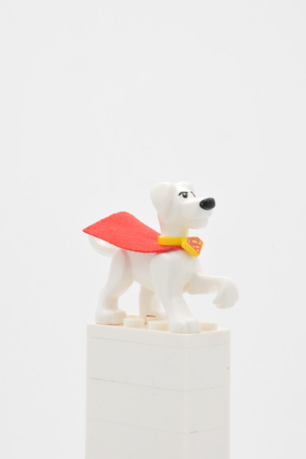 30533c01 LEGO DC - Krypto the Superdog
