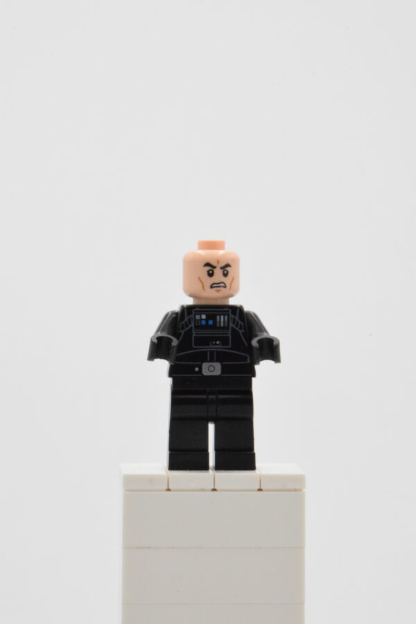 sw0621 LEGO Star Wars - Imperial TIE Fighter Pilot – Image 9