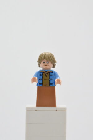 sw1208 LEGO Star Wars - Aunt Beru Whitesun Lars
