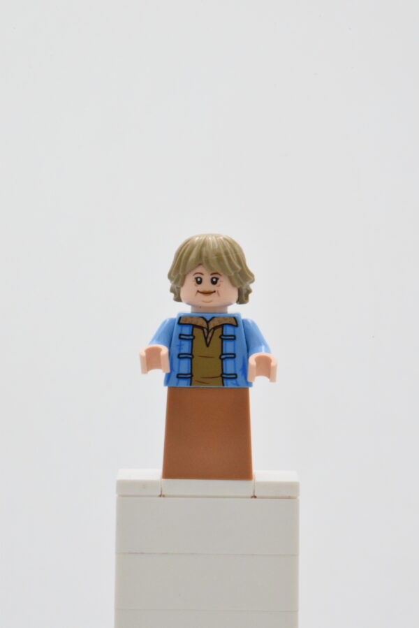 sw1208 LEGO Star Wars - Aunt Beru Whitesun Lars