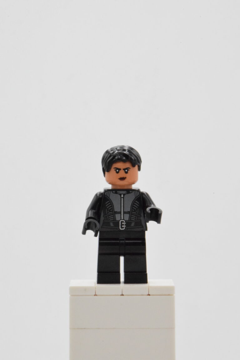 sh0788 LEGO Super Heroes - Selina Kyle