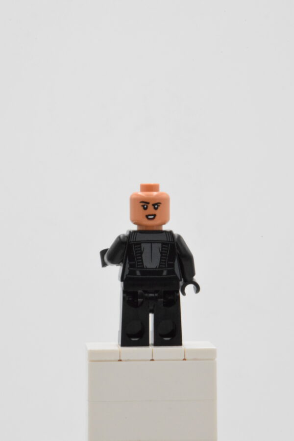 sh0788 LEGO Super Heroes - Selina Kyle – Image 5