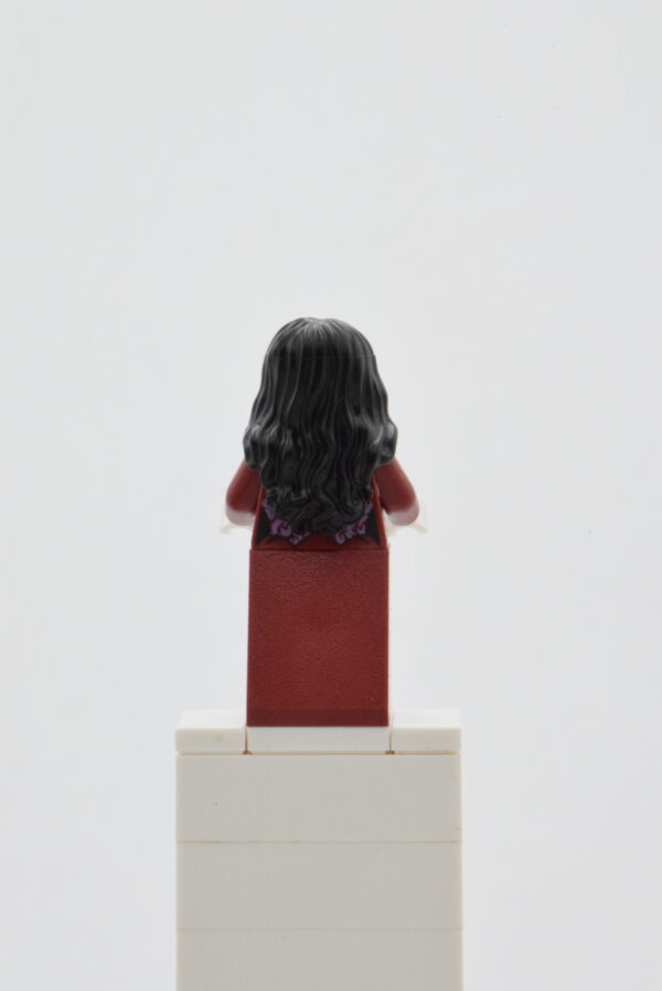 mof008 LEGO Monster Fighters - Lord Vampyre's Bride – Image 3