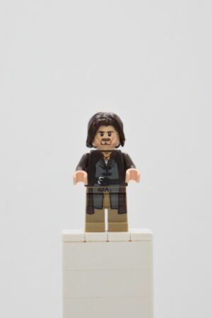 lor017 LEGO LOTR - Aragorn