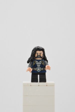 lor040 LEGO The Hobbit - Thorin Oakenshield