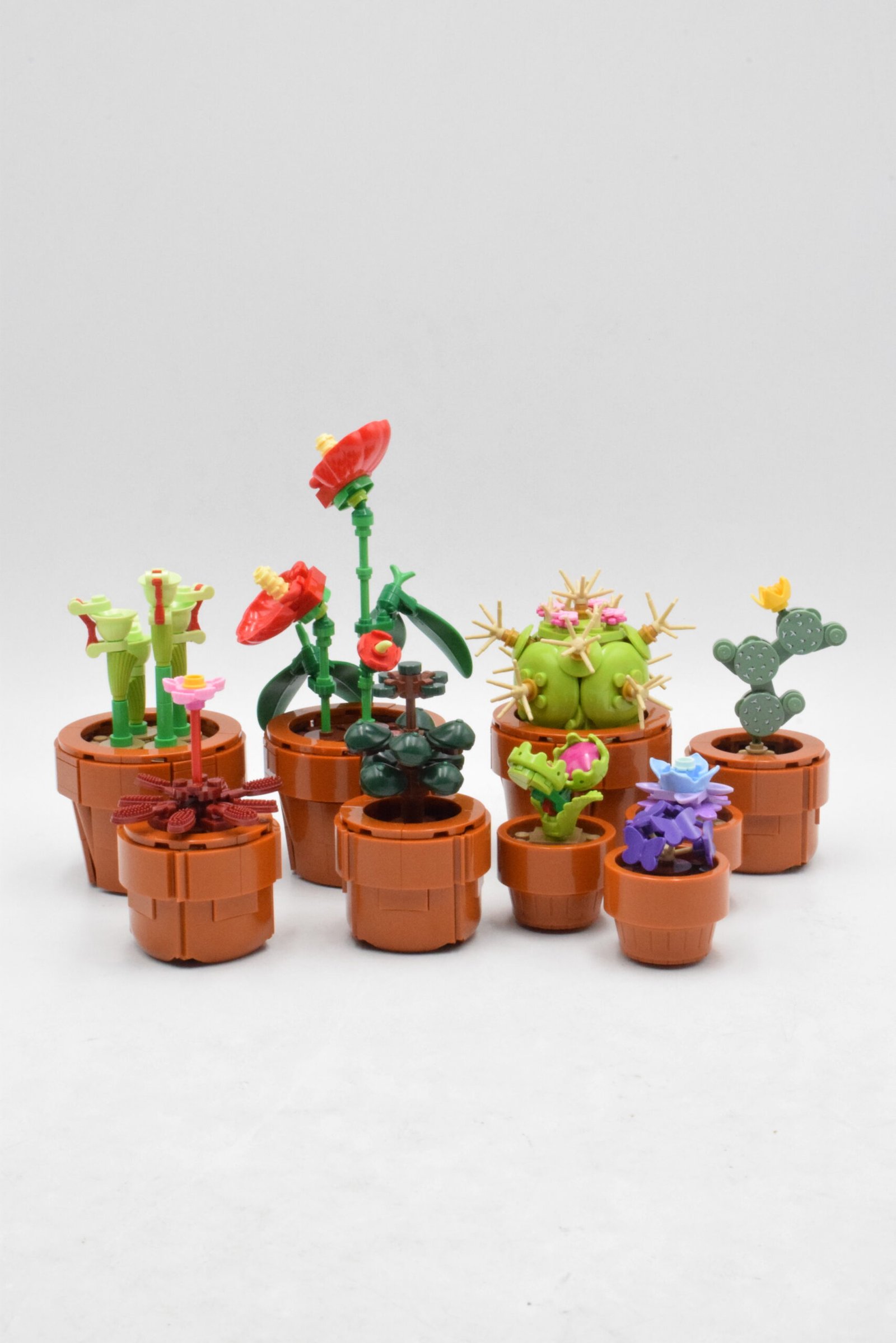 10329 LEGO Botanique – Les plantes miniatures – Image 2