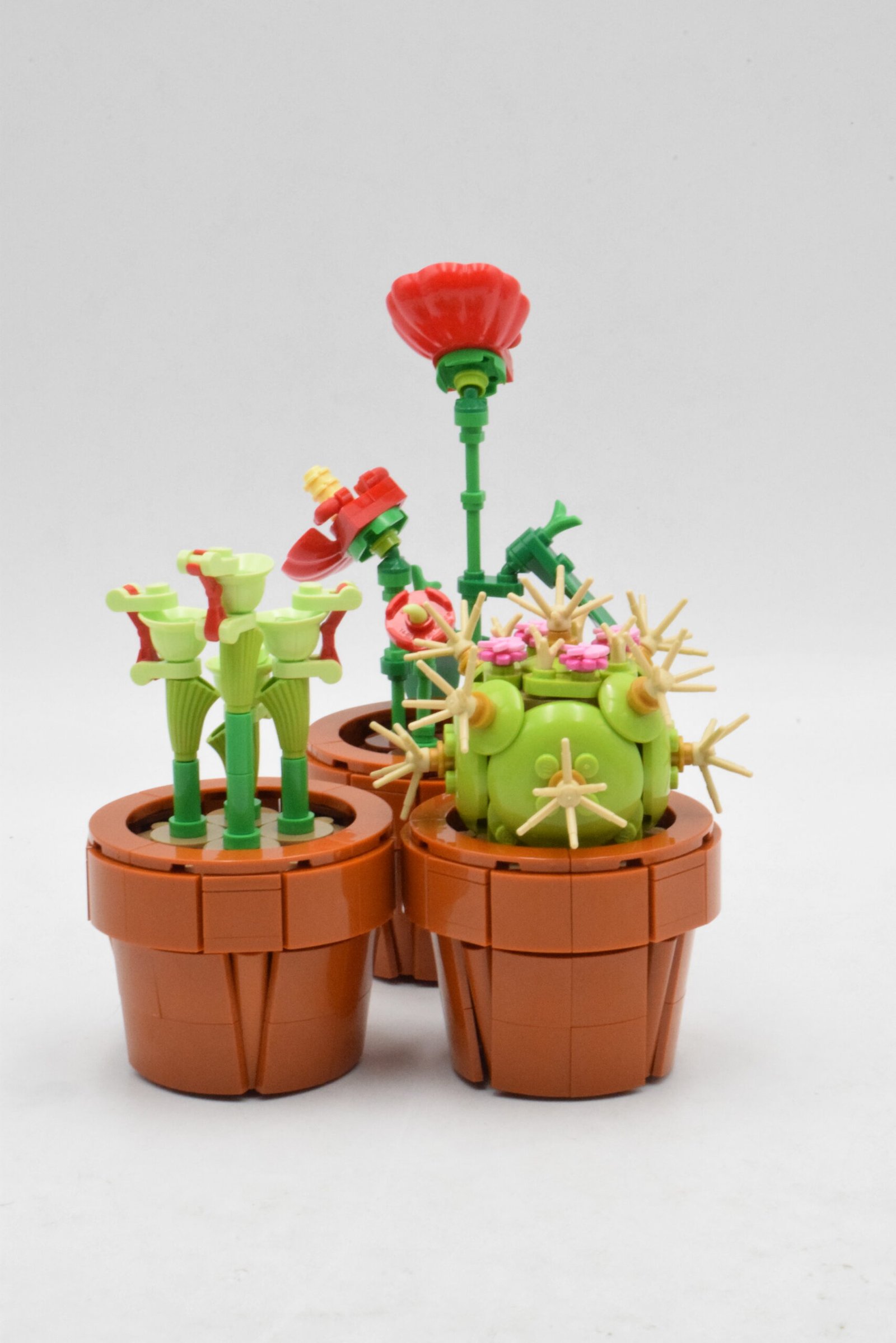 10329 LEGO Botanique – Les plantes miniatures – Image 3