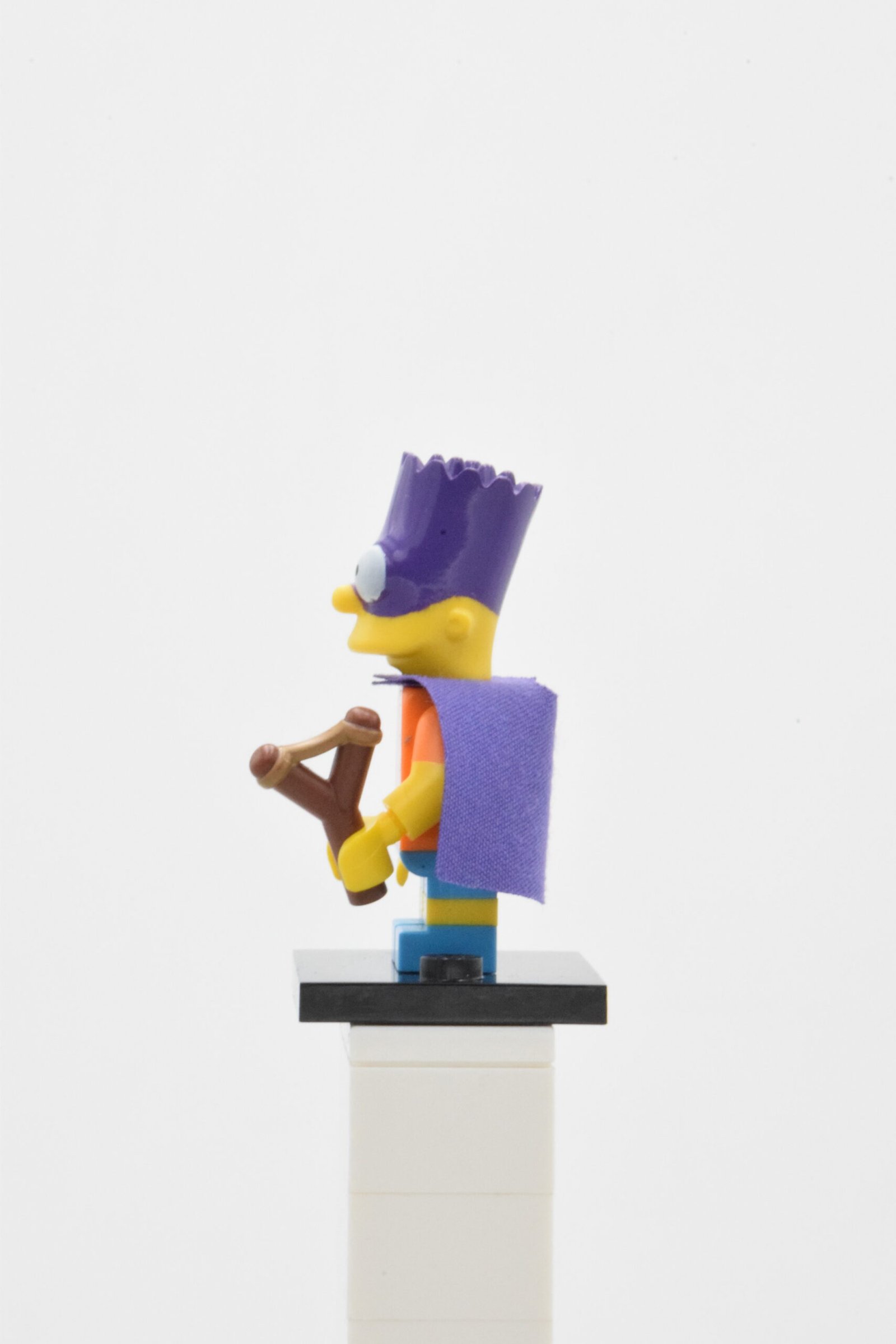sim031 – Bartman – Image 2