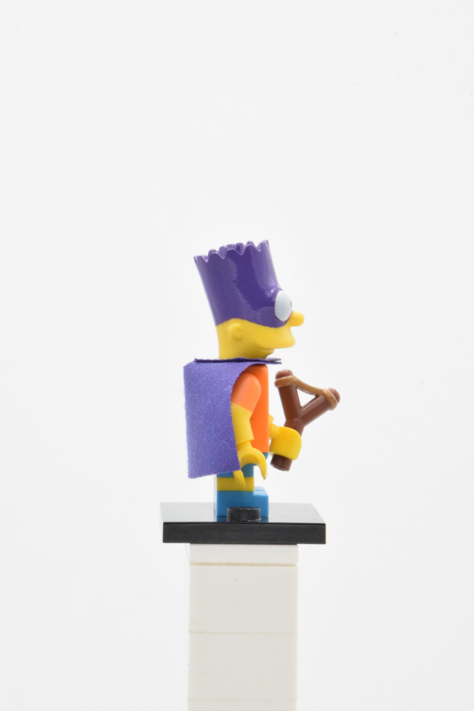sim031 – Bartman – Image 4
