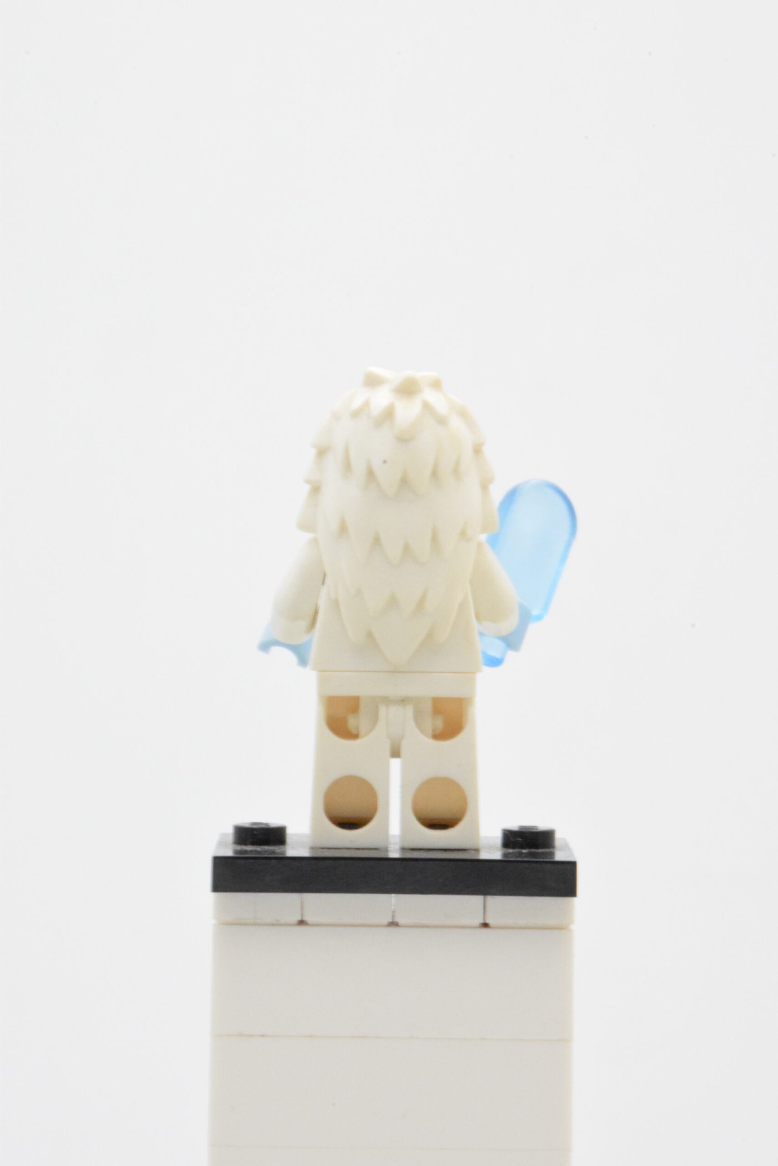 col170 – Yeti – Image 3