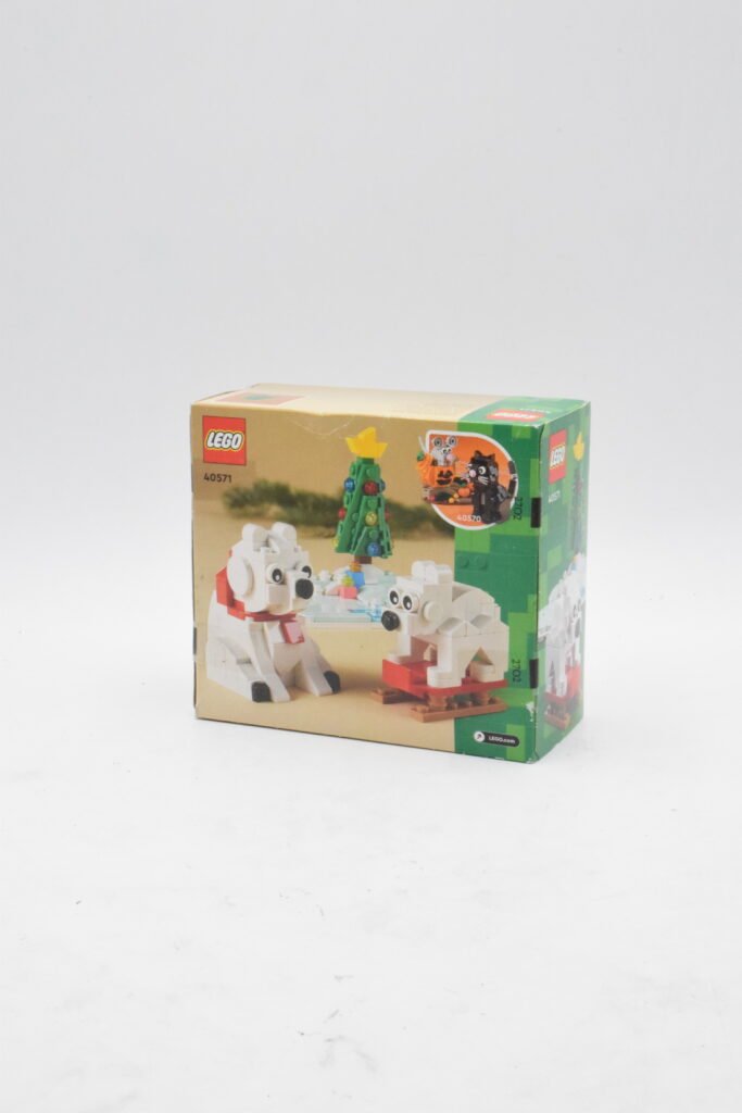 40571 – Les ours blancs en hiver