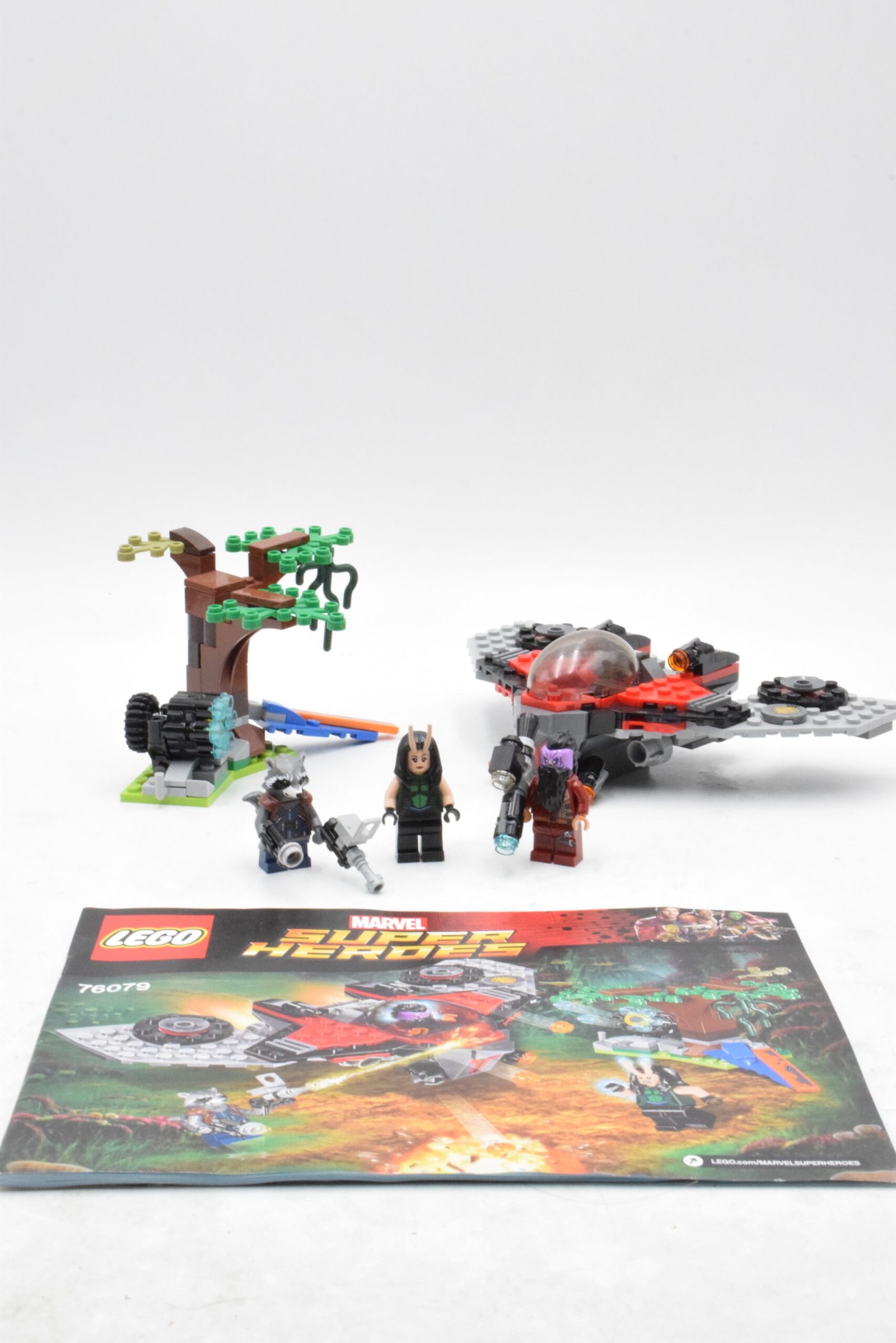 76079 - L'attaque du ravageur