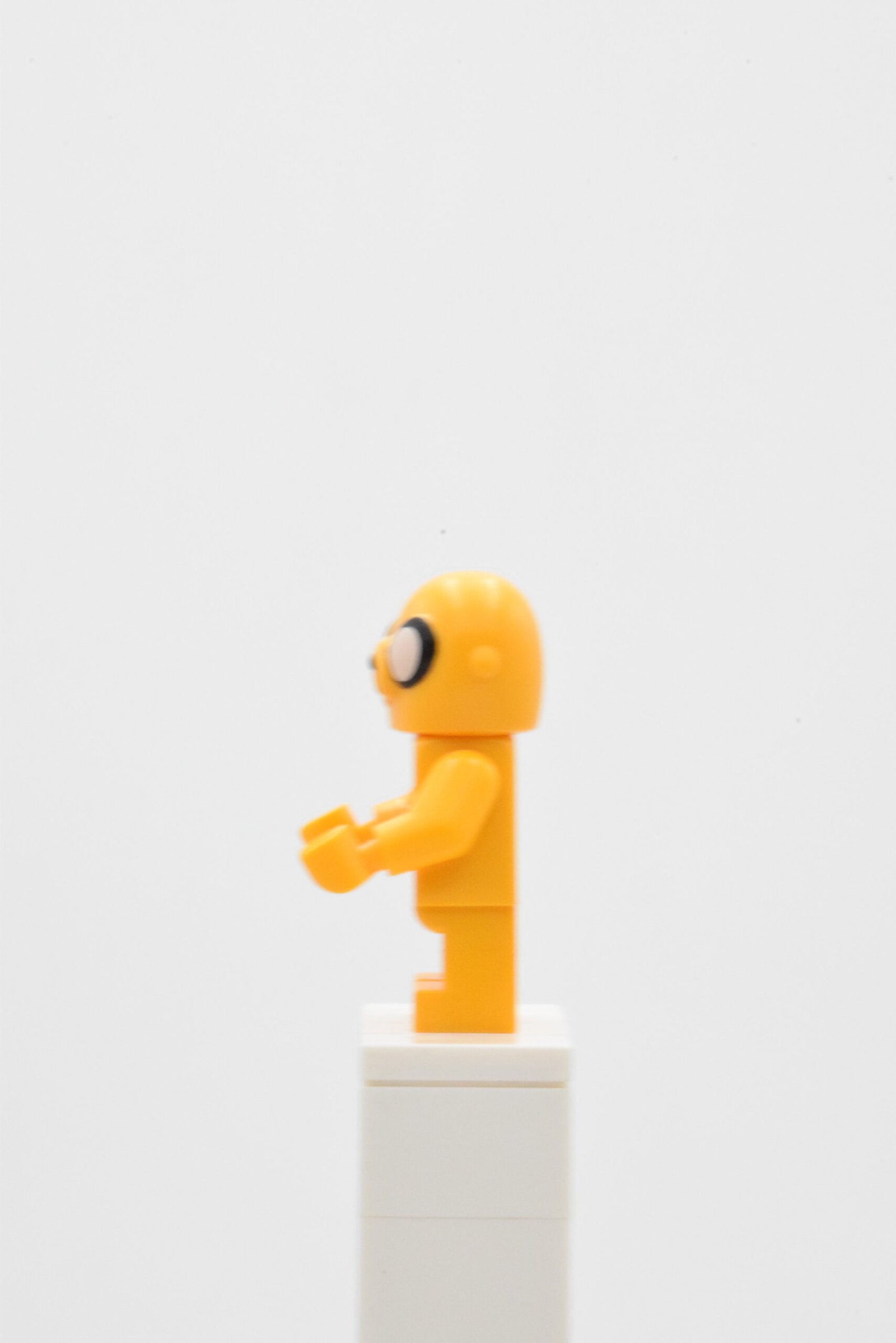 dim026 - Jake the Dog – Image 2