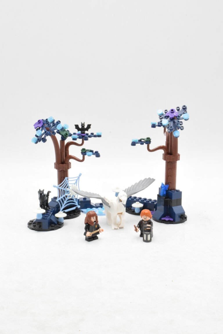 76432 - La Forêt interdite : les créatures magiques