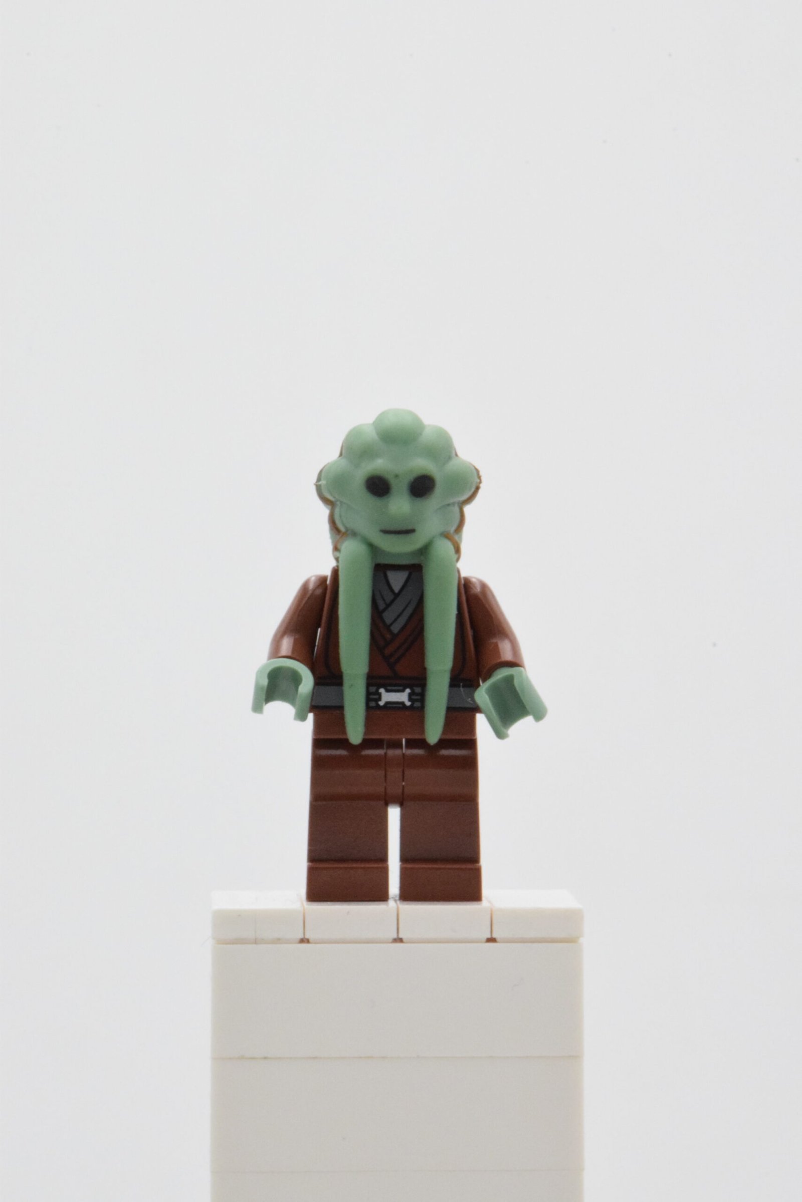 sw0163 - Kit Fisto