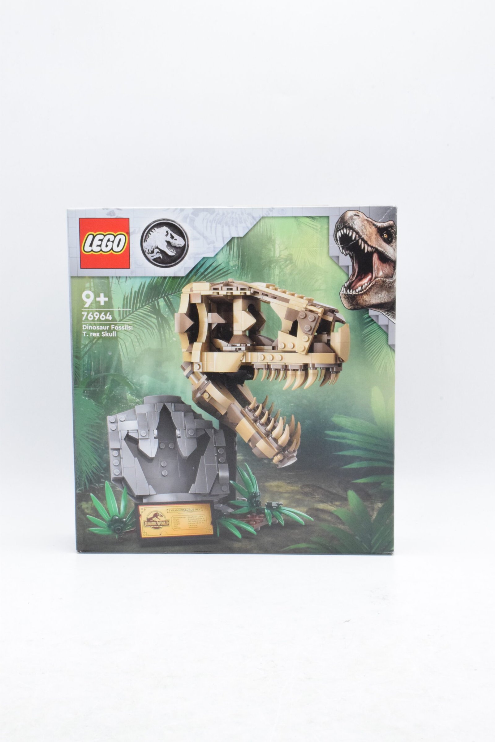 76964 - Les fossiles de dinosaures : le crâne du T. rex – Image 4