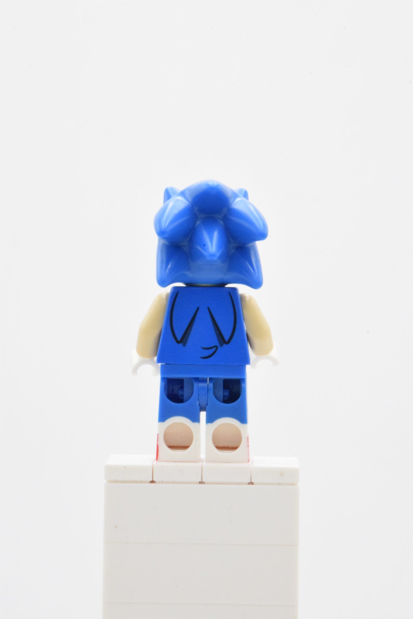 dim031 - Sonic the Hedgehog – Image 3