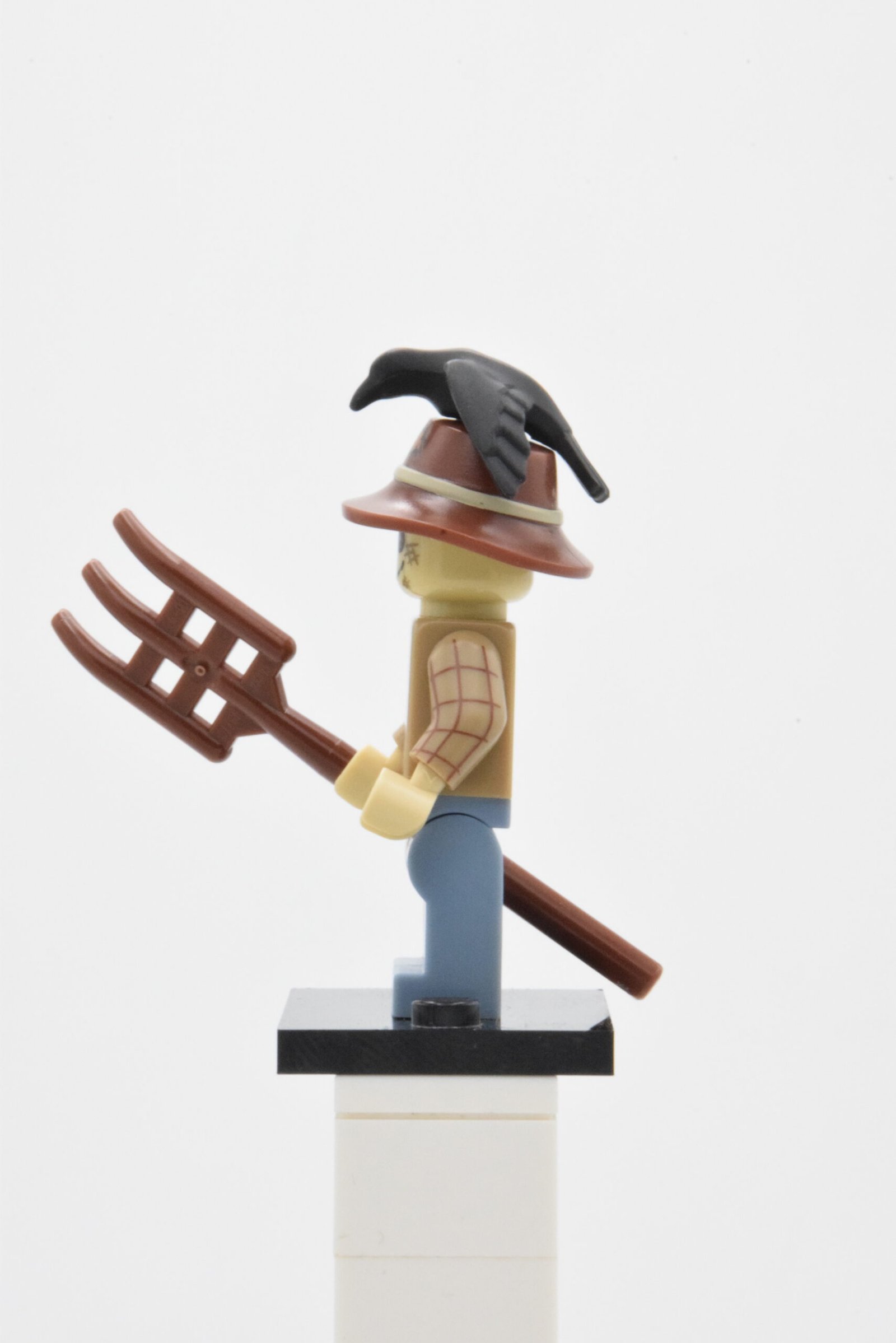 col164 - Scarecrow – Image 4
