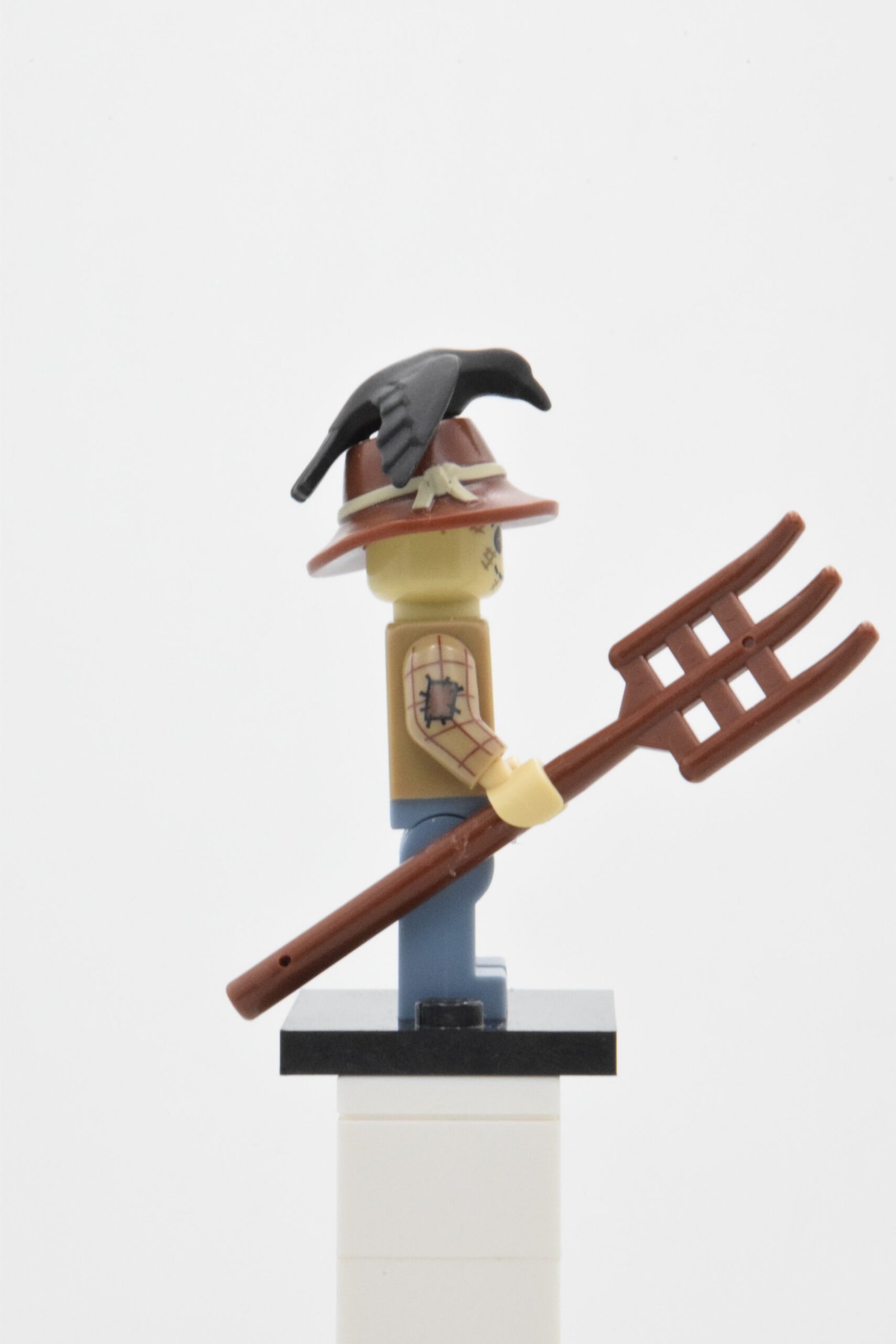 col164 - Scarecrow – Image 2