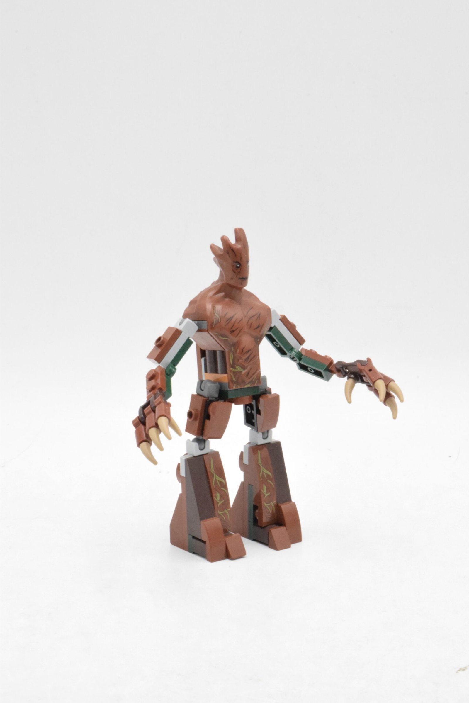 spa0010 - Groot – Image 2