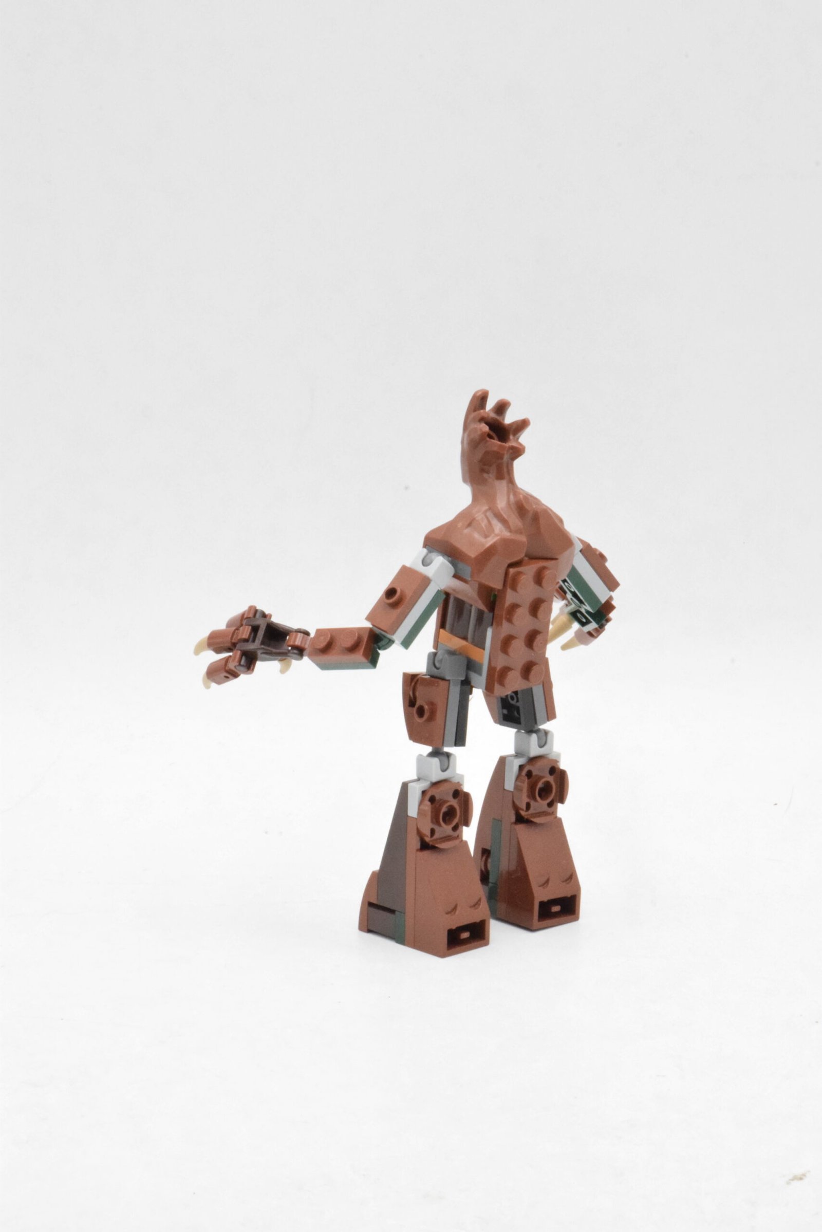 spa0010 - Groot – Image 4