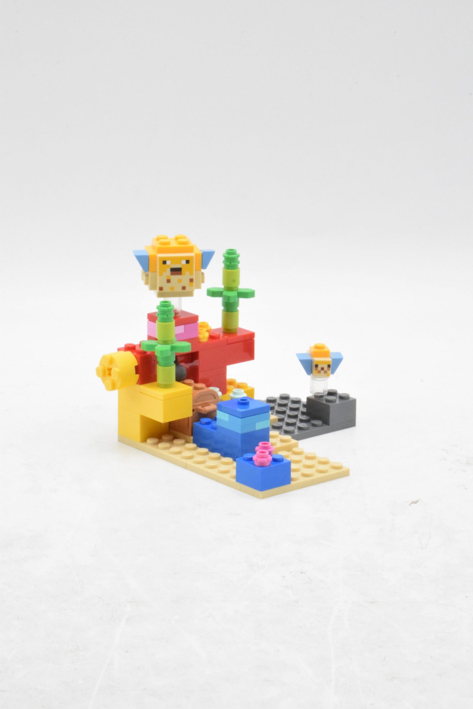 21164 - Le récif corallien – Image 4