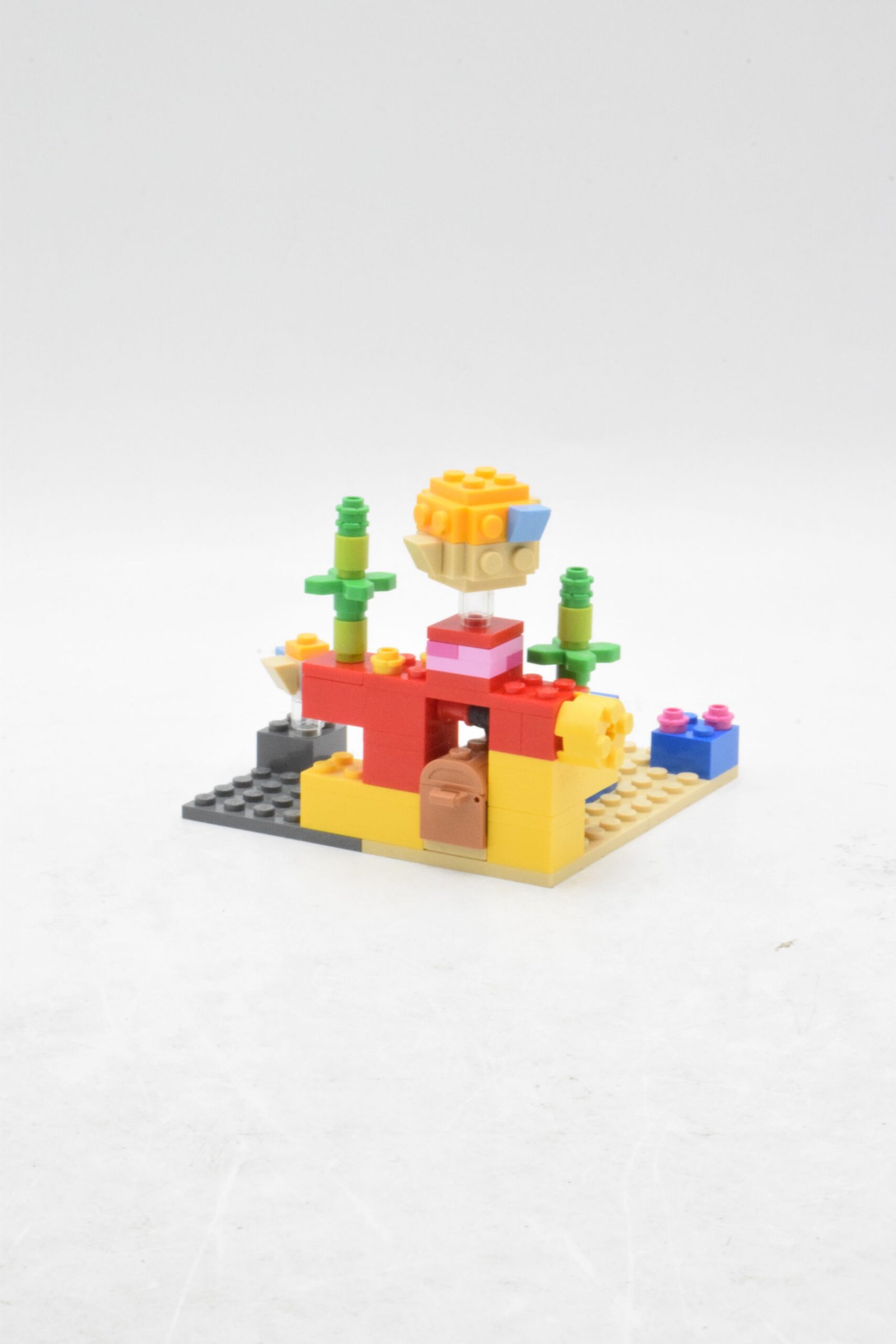 21164 - Le récif corallien – Image 5