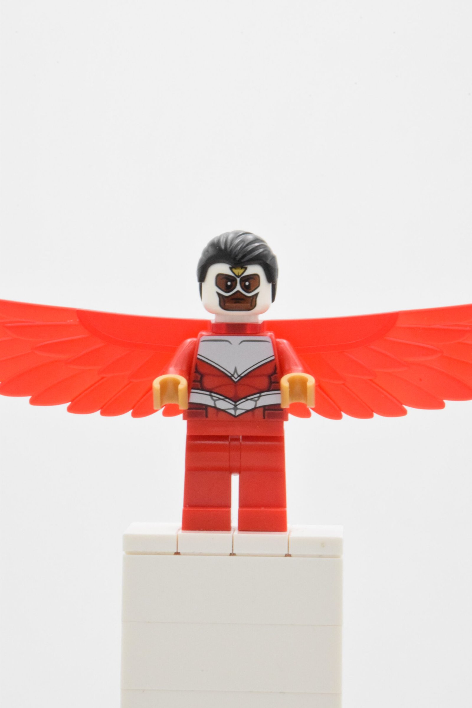sh0099 - Falcon