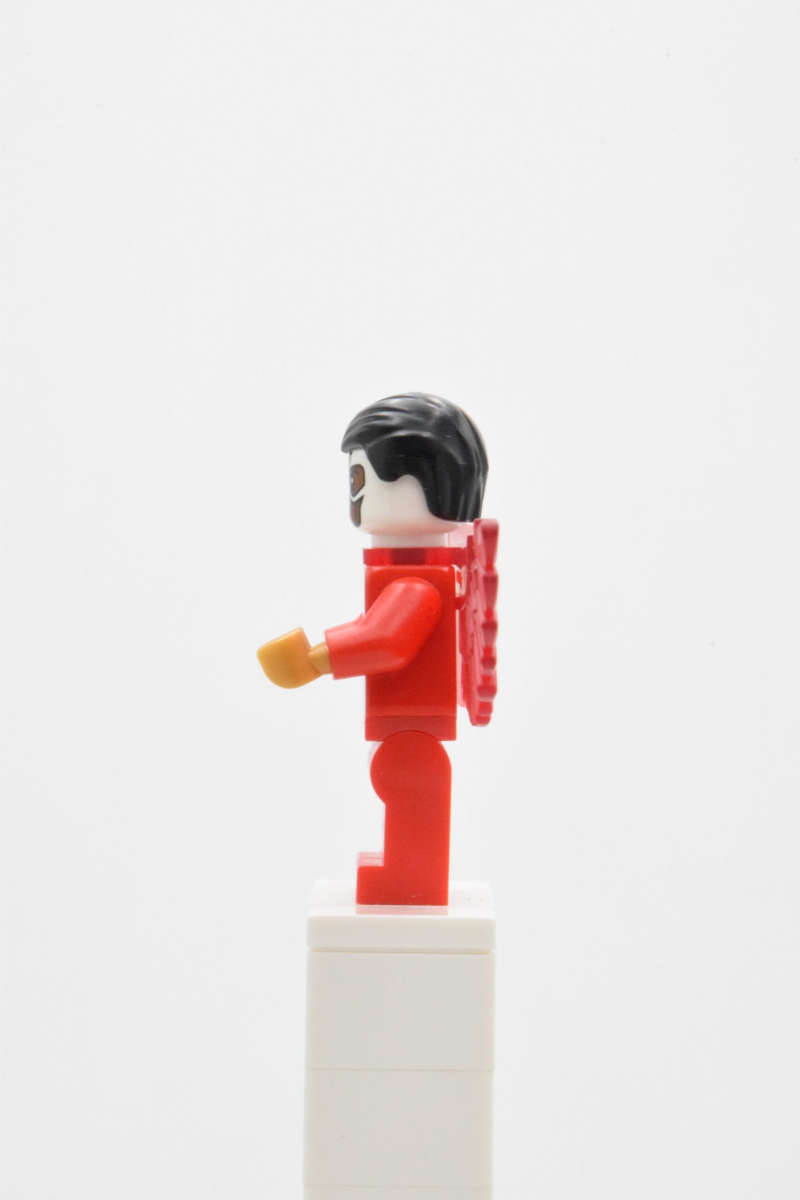 sh0099 - Falcon – Image 2