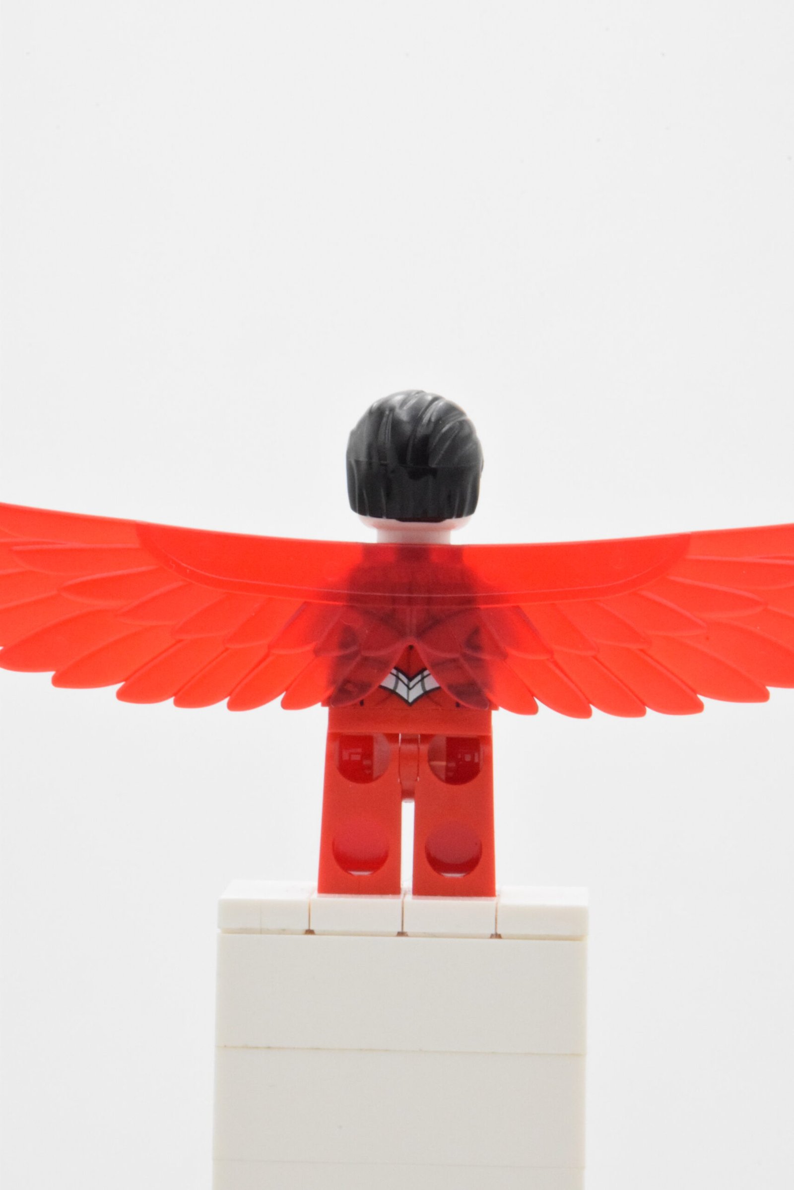 sh0099 - Falcon – Image 3
