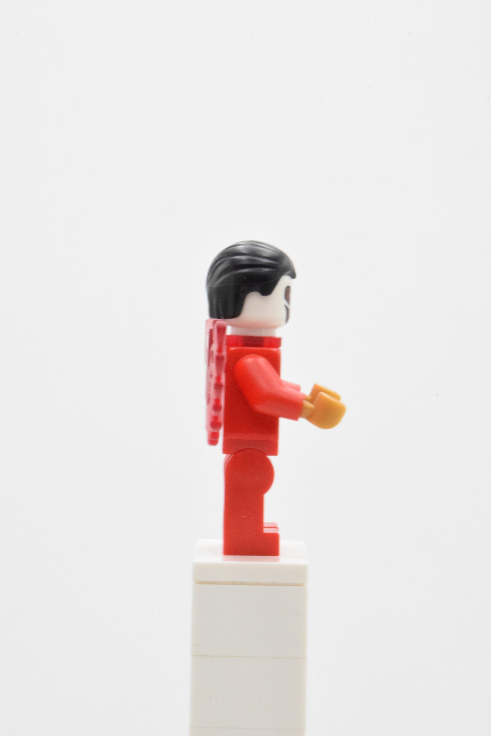 sh0099 - Falcon – Image 4