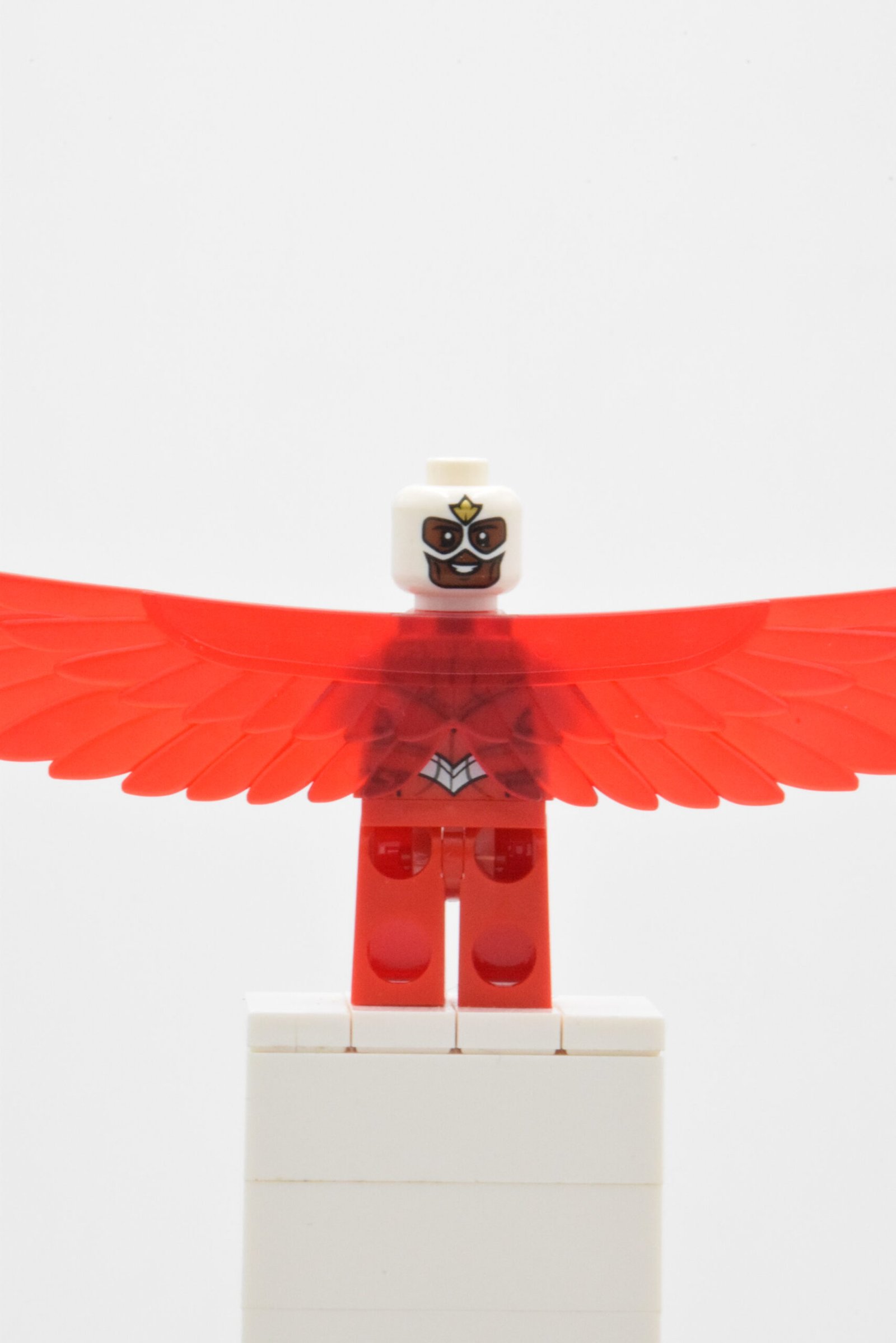 sh0099 - Falcon – Image 5
