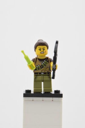 col188 - Dino Tracker