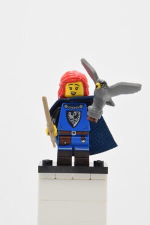 col416 - Falconer