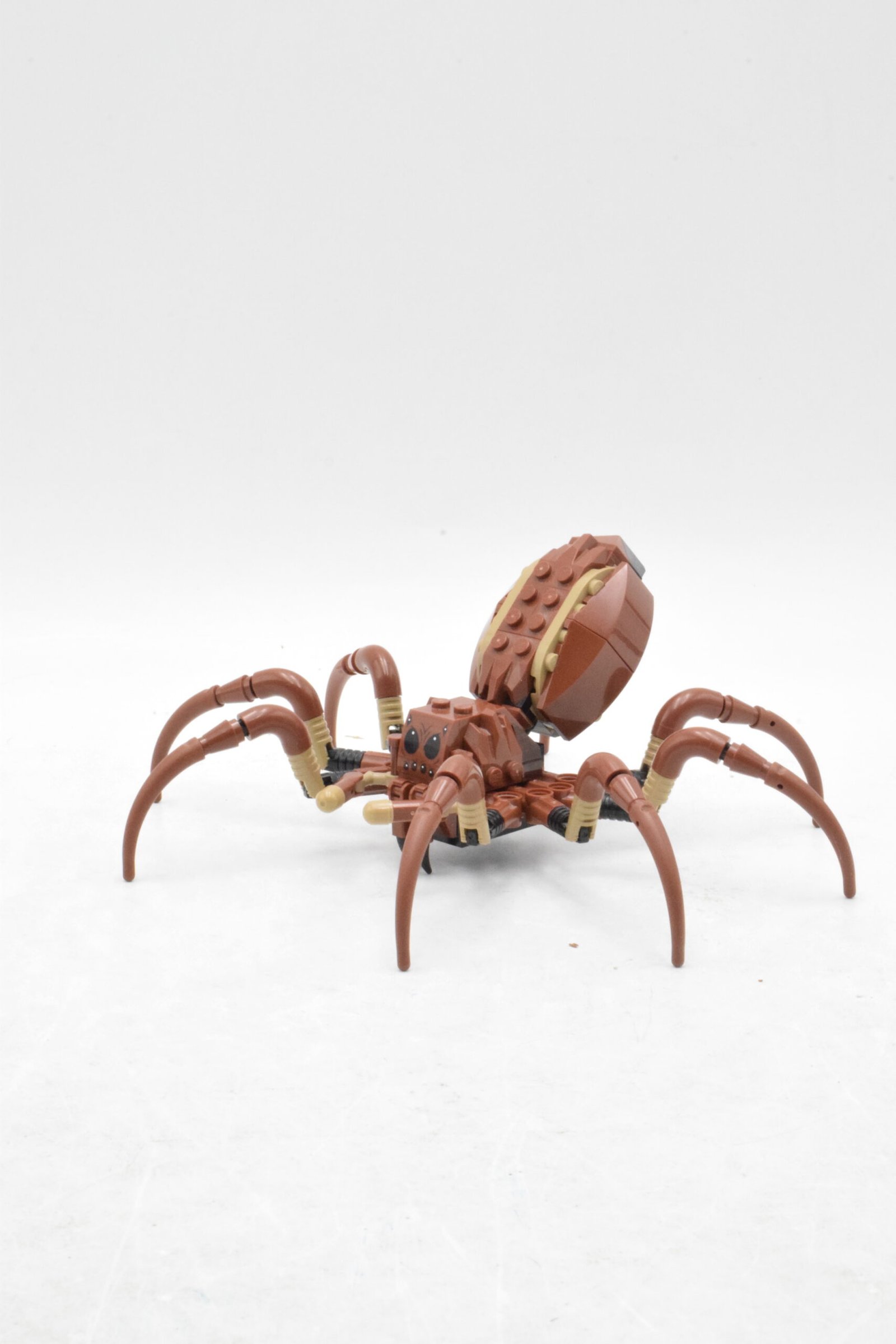 76434 - Aragog dans la Forêt interdite – Image 5