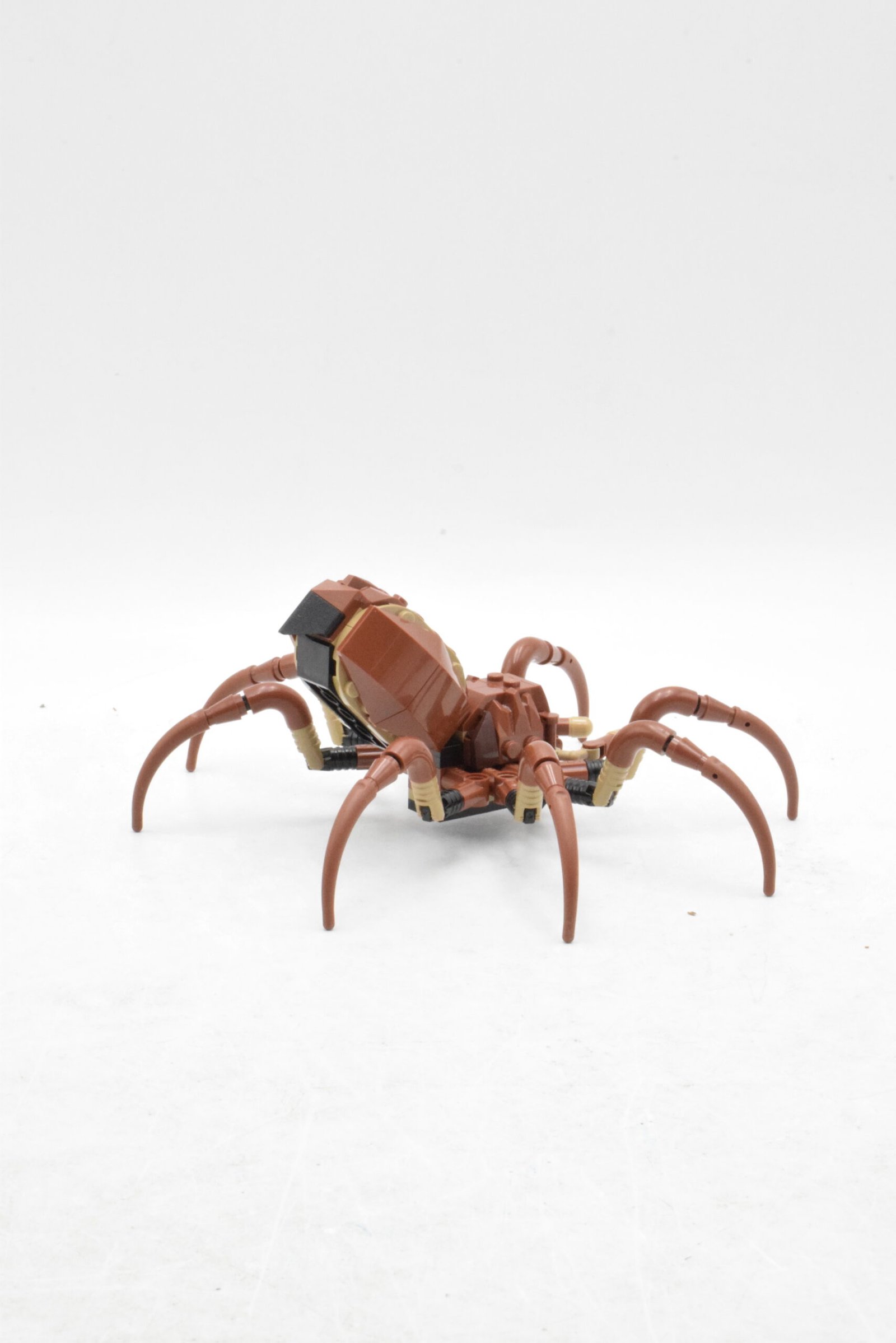 76434 - Aragog dans la Forêt interdite – Image 6
