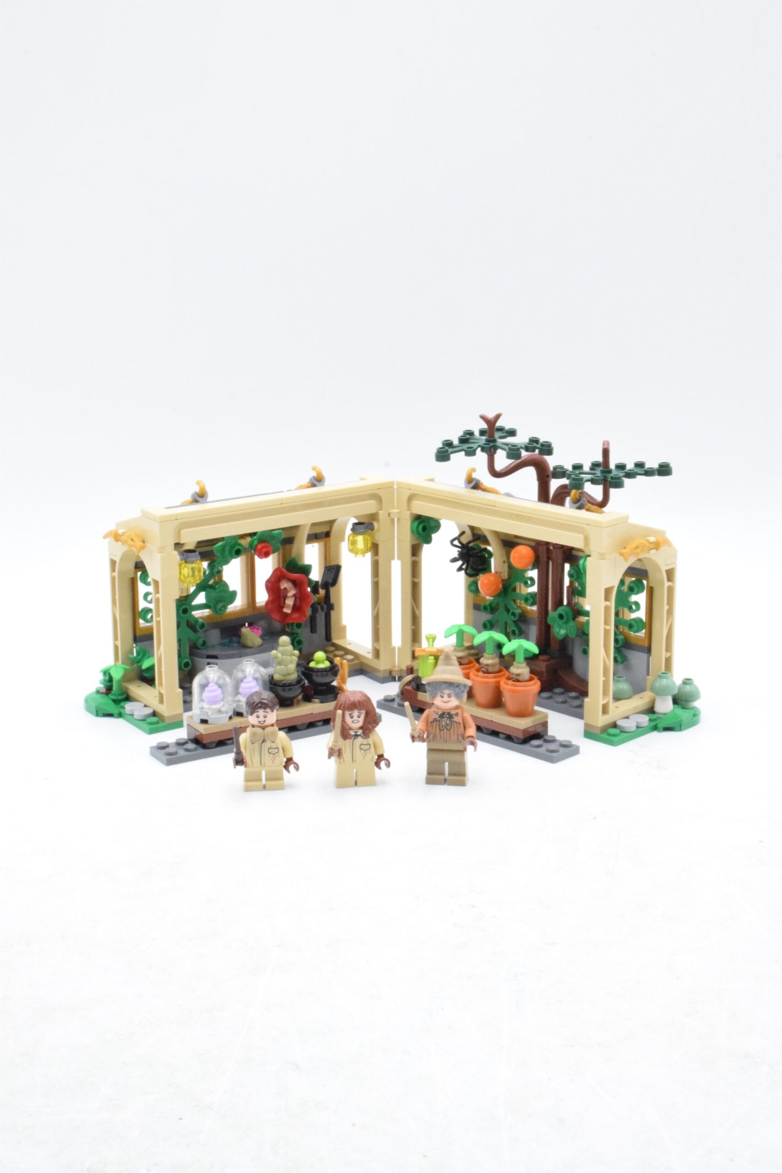 76445 - Le cours de botanique – Image 2