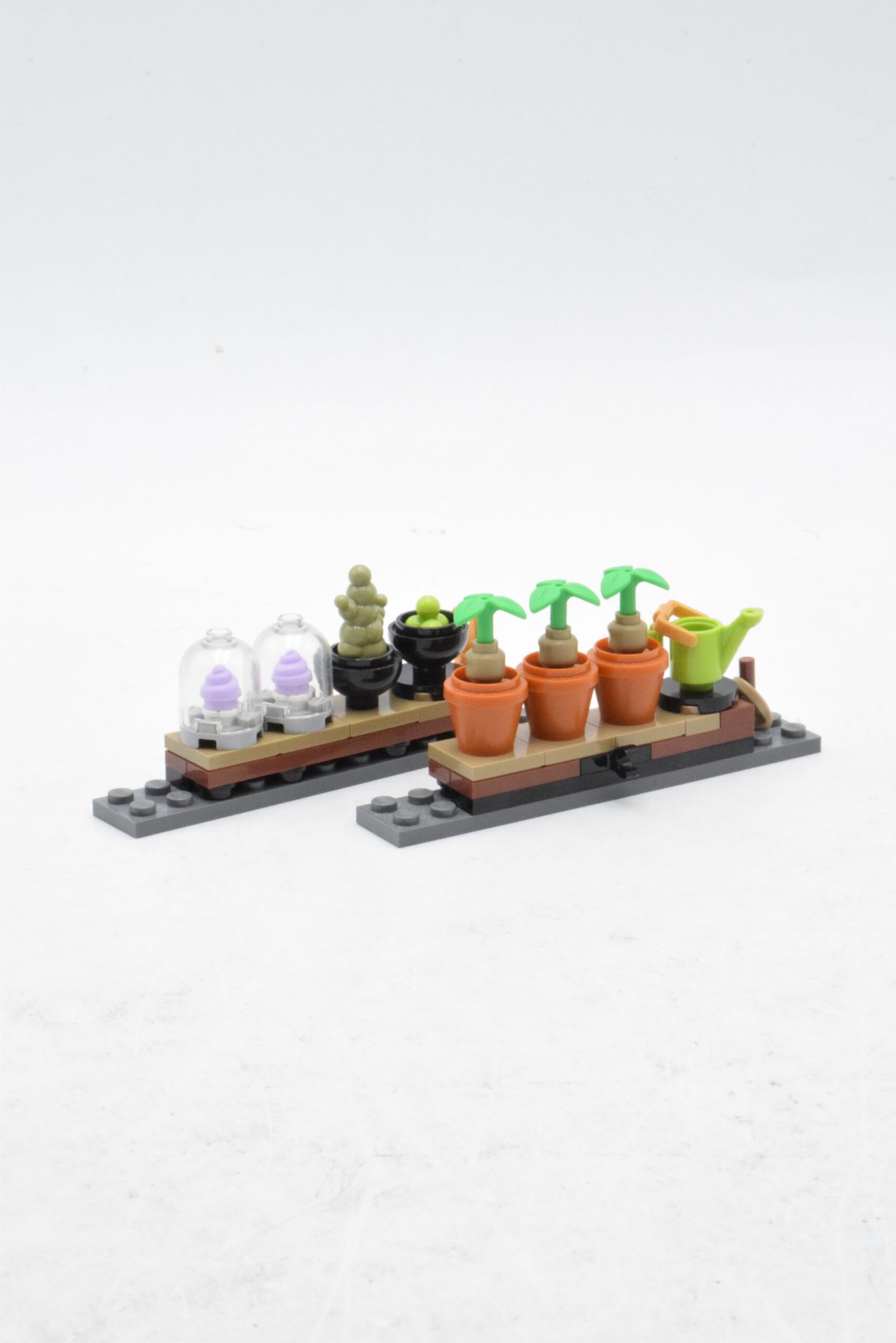 76445 - Le cours de botanique – Image 4